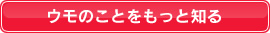 ウモのことをもっと知る